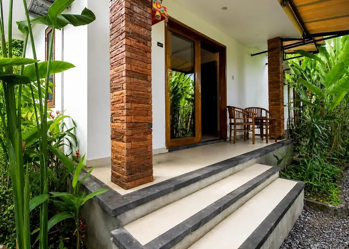 Jungle House كيراماس