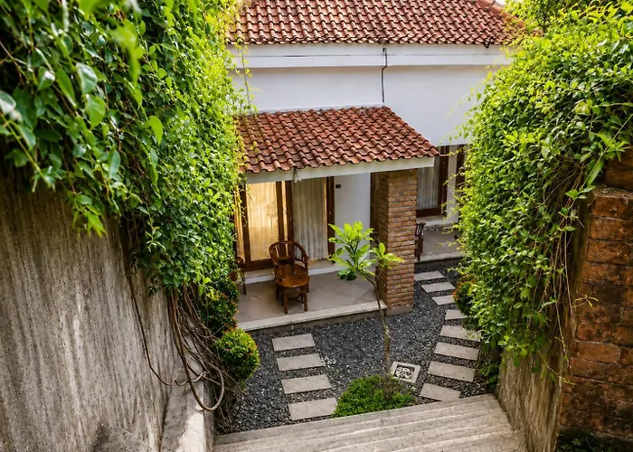 Jungle House 3*